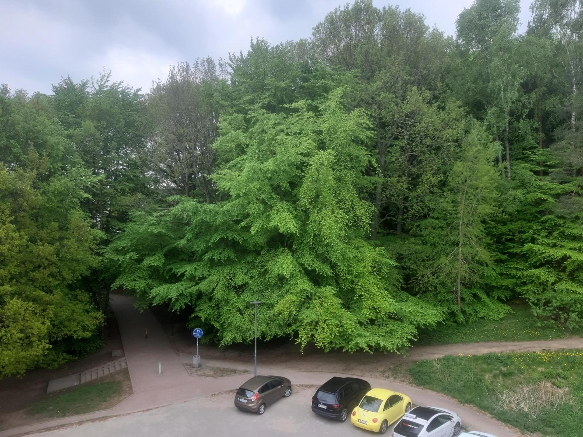 Lesny Loft Apartment Gdynia Luaran gambar