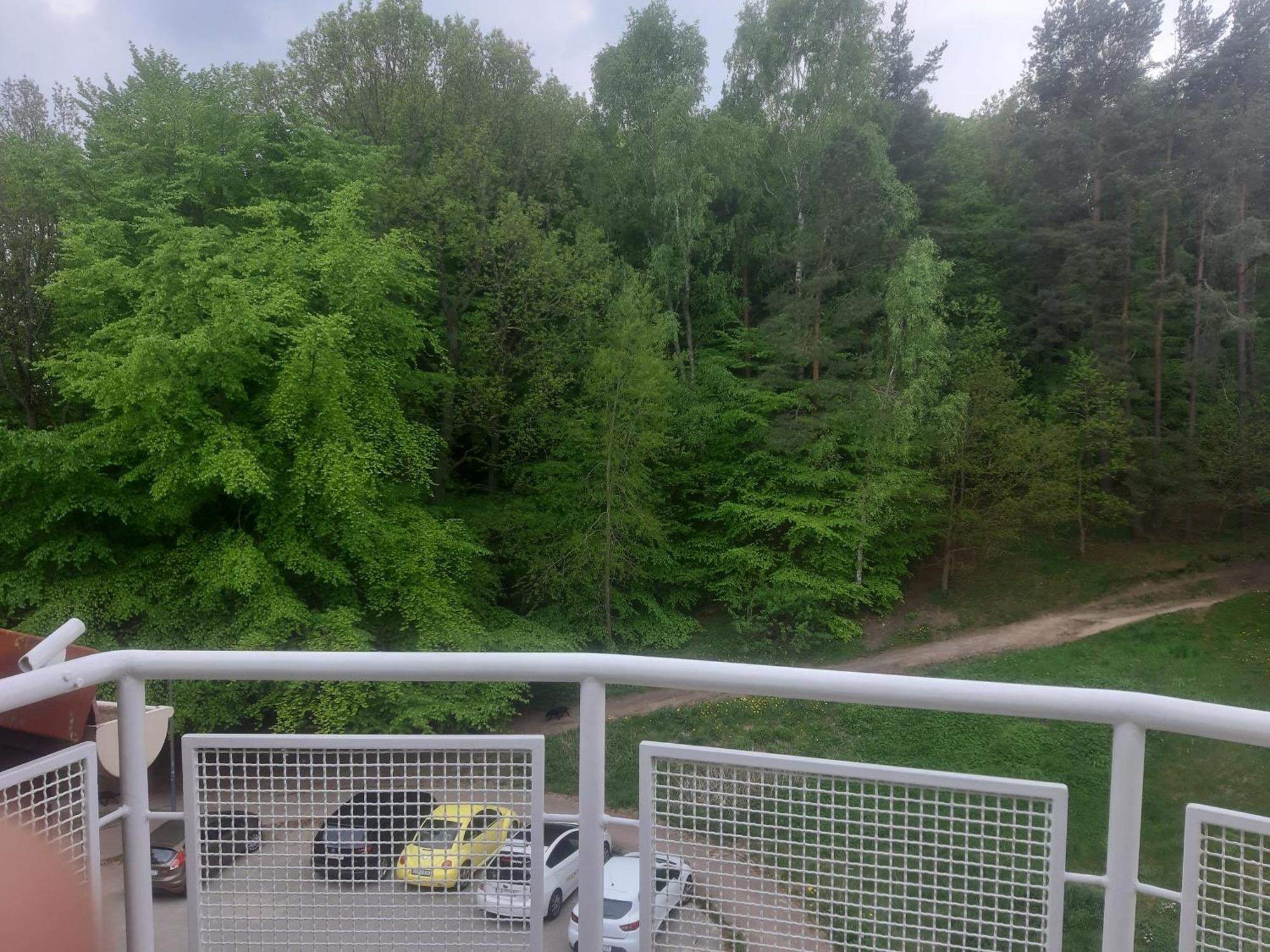 Lesny Loft Apartment Gdynia Luaran gambar